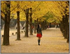 秋天2008在线观看,2008年秋天在线观影之旅 第1张 秋天2008在线观看,2008年秋天在线观影之旅 第1张