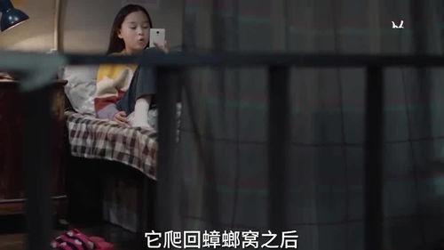 年轻小姐姐爆料视频,揭秘幕后真相  第1张